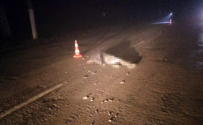Під Запоріжжям автомобіль на смерть збив молоду жінку і втік
