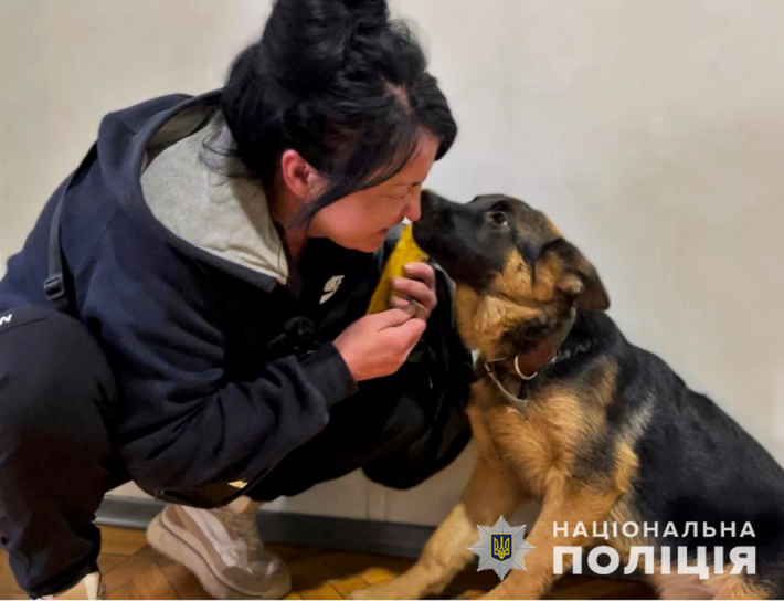 У Запоріжжі чоловік вкрав у жінки собаку під час прогулянки (фото)