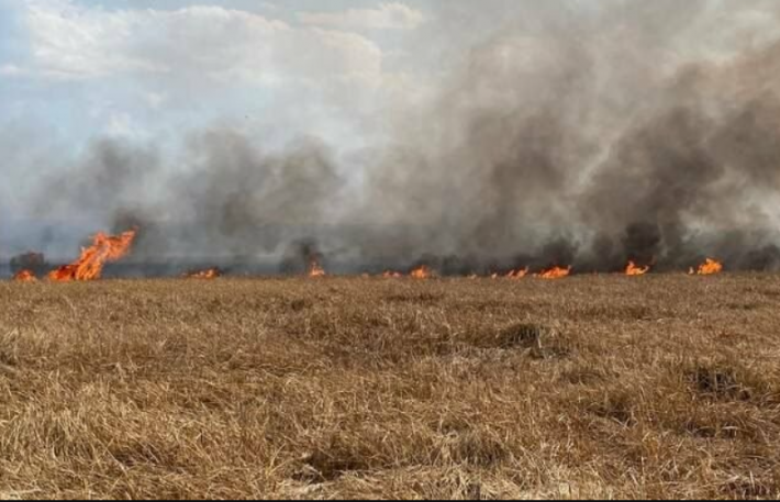 Внаслідок ворожих обстрілів у Запорізькій області горять поля з урожаєм