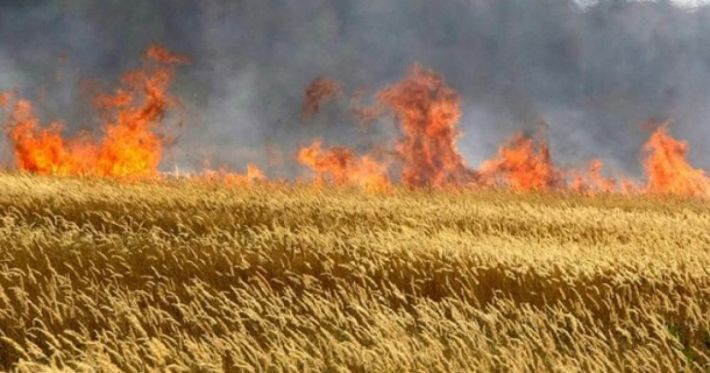 У Запорізькій області через обстріли горіли будинки та поля