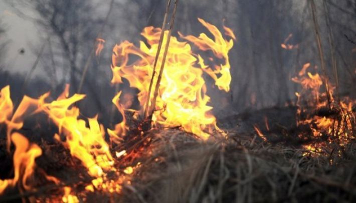 У Запорізькій області за минулу добу сталося 9 пожеж