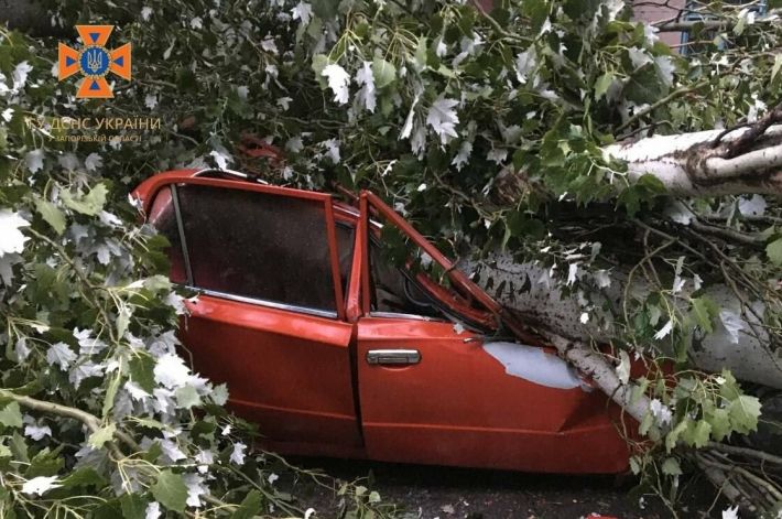 У Запоріжжі повалені дерева пошкодили понад 10 автомобілів (фото)