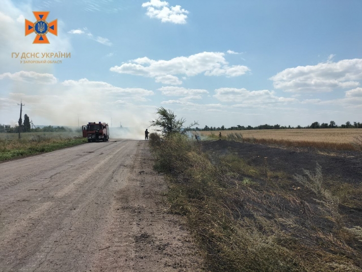 Запорізькі рятувальники зупинили вогонь на хлібному полі