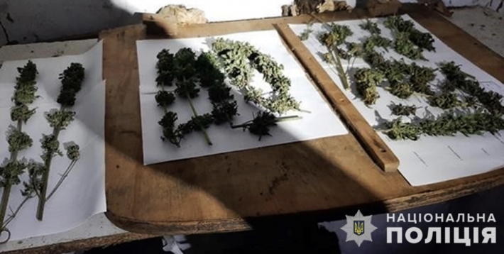 У двох жителів Запоріжжя поліцейські вилучили вогнепальну зброю, боєприпаси та наркотики