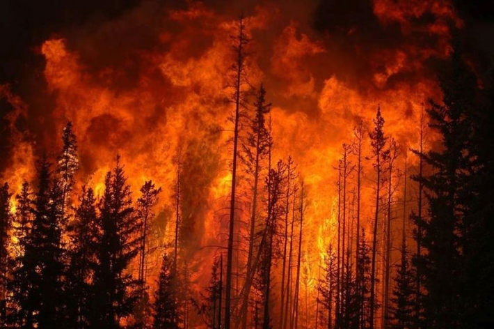 У Пологівському районі внаслідок обстрілу виникла пожежа