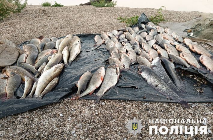 У Запоріжжі затримали чоловіків, які наловили риби на 220 тисяч гривень
